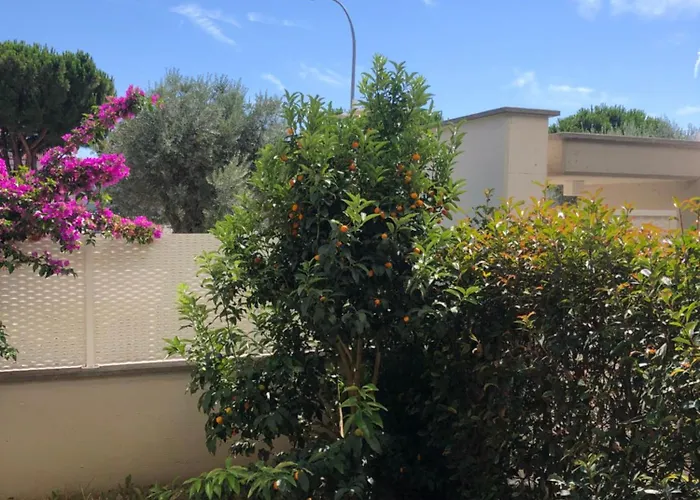 Apartamento Casa Sprint *