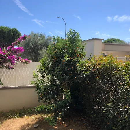 Apartment Casa Sprint *