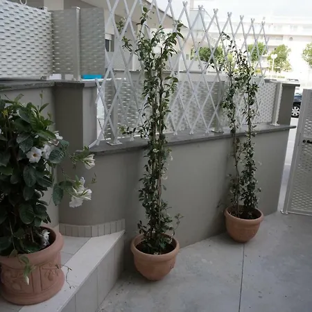 Apartment Casa Sprint *